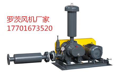 罗茨鼓91AV手机看片参数