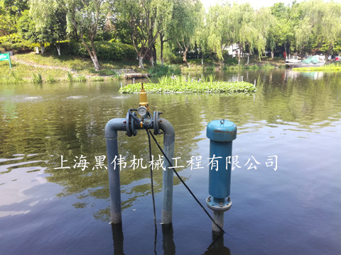 沉水式罗茨鼓91AV手机看片的水下深度