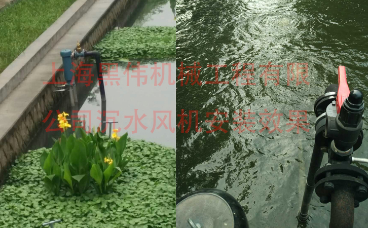 沉水91AV手机看片效果