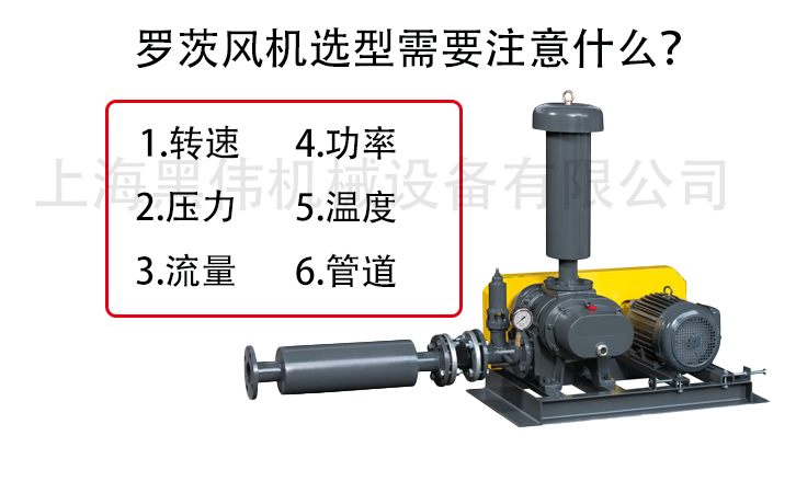 罗茨91AV手机看片选型注意参数